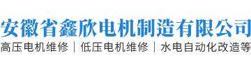 安徽省鑫欣电机制造有限公司